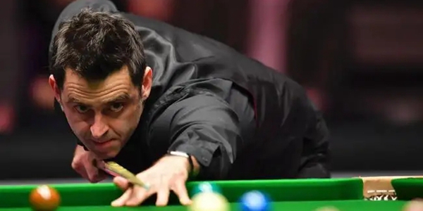 与此次灰熊 与此次灰熊